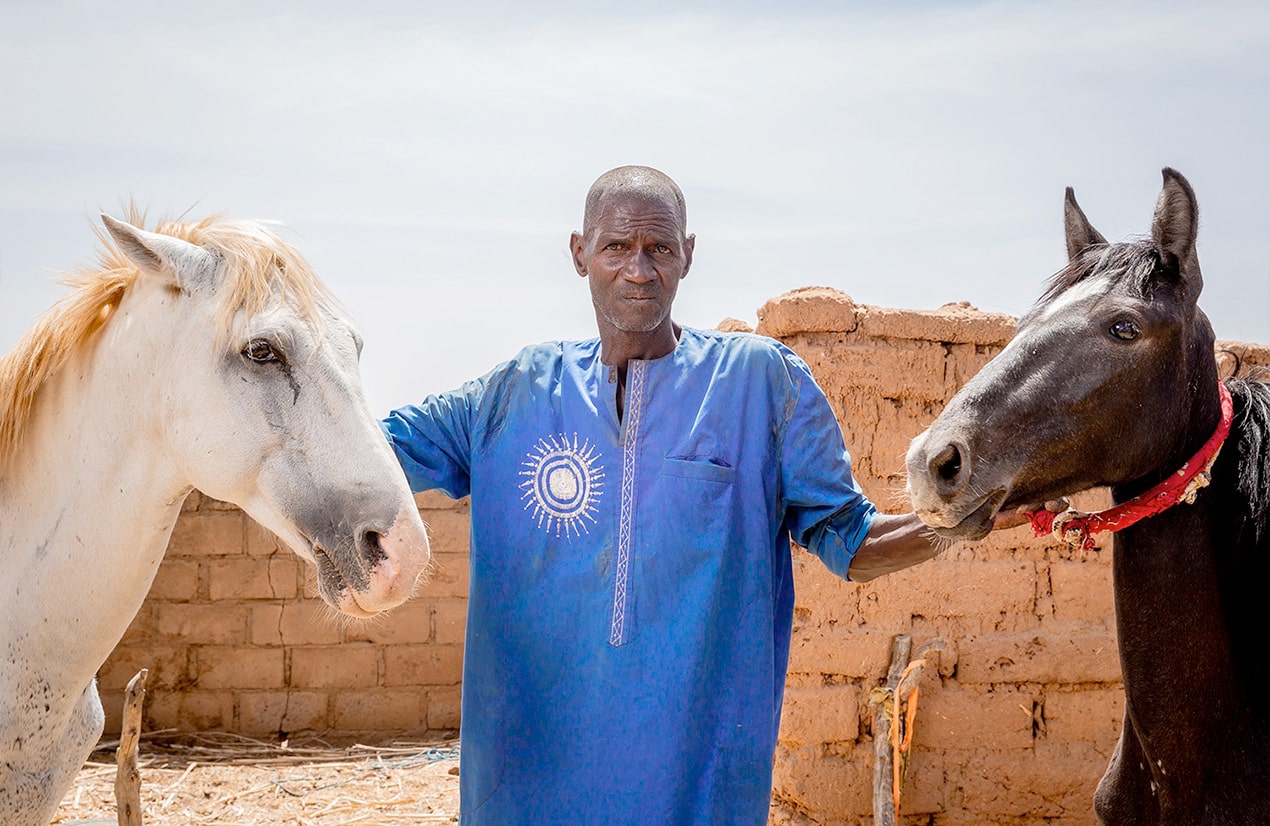 Un homme, originaire de la région de Matam, Sénégal, vêtu d'une tunique bleue avec un motif de soleil tient deux chevaux, un blanc et un noir, devant un mur en briques de terre.